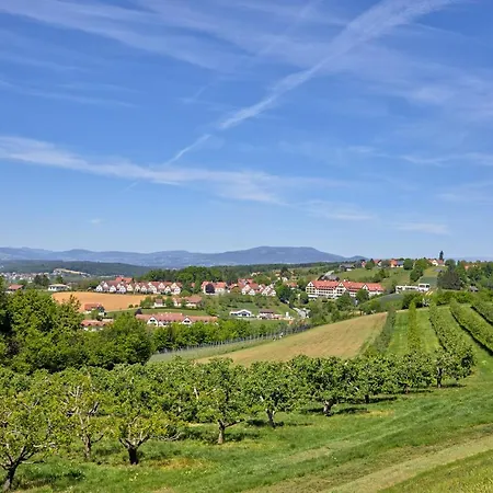 Hotel Ayurveda Mandira Bad Waltersdorf