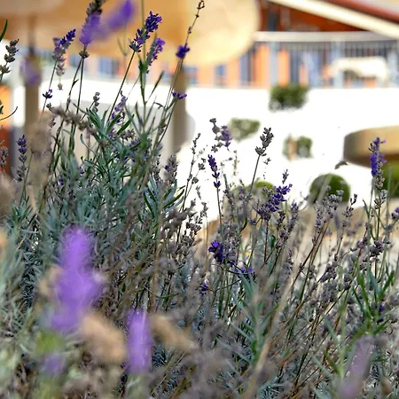 Ayurveda Mandira Hotel 4*