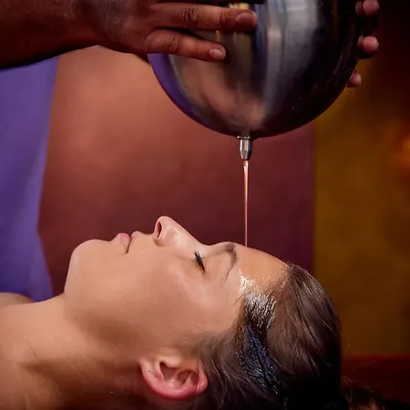 Ayurveda Mandira فندق